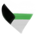Demiromantic Demiromantic